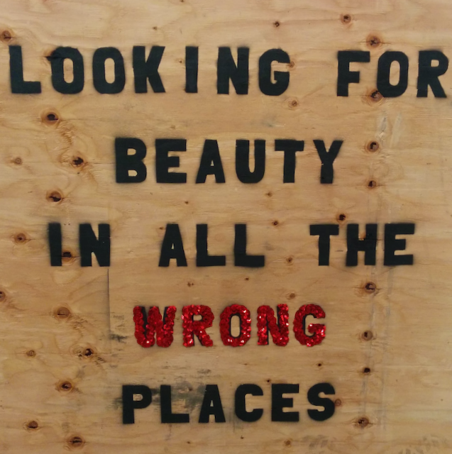 Looking for Beauty in All the Wrong Places